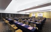 Туры в отель Crowne Plaza Villahermosa by IHG