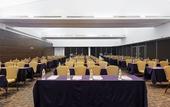 Туры в отель Crowne Plaza Villahermosa by IHG
