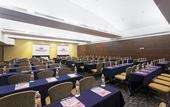 Туры в отель Crowne Plaza Villahermosa by IHG