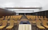 Туры в отель Crowne Plaza Villahermosa by IHG