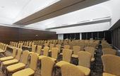 Туры в отель Crowne Plaza Villahermosa by IHG