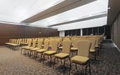 Туры в отель Crowne Plaza Villahermosa by IHG