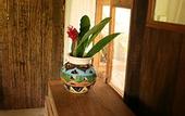 Туры в отель Cabanas Biuzaa