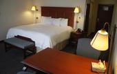 Туры в отель Hampton Inn by Hilton Tampico Aeropuerto