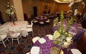 Туры в отель Hampton Inn by Hilton Tampico Aeropuerto