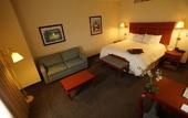 Туры в отель Hampton Inn by Hilton Tampico Aeropuerto