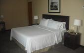 Туры в отель Hampton Inn By Hilton Tampico Zona Dorada