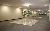 Туры в отель Hampton Inn By Hilton Tampico Zona Dorada