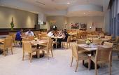 Туры в отель voco Saltillo Suites by IHG