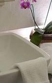 Туры в отель Colibri Hotel