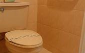 Туры в отель Corona Hotel & Spa