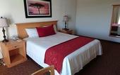 Туры в отель Corona Hotel & Spa