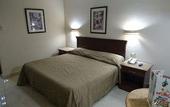Туры в отель Hotel San Angel