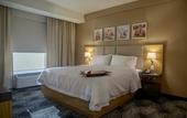Туры в отель Hampton Inn by Hilton Zacatecas