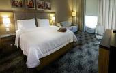 Туры в отель Hampton Inn by Hilton Zacatecas