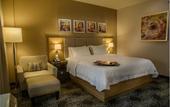 Туры в отель Hampton Inn by Hilton Zacatecas
