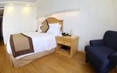 Туры в отель Hotel Horizon and Convention Center