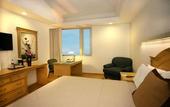 Туры в отель Hotel Horizon and Convention Center