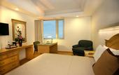 Туры в отель Hotel Horizon and Convention Center