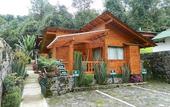 Туры в отель Cabanas El Estribo Hotel