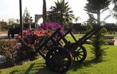 Туры в отель Hacienda Tres Vidas Hotel & Spa