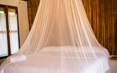 Туры в отель Zentik Project Boutique Hotel & Spa