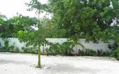 Туры в отель El Zaguan Colonial by GuruHotel