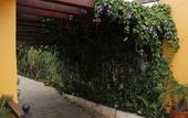 Туры в отель El Zaguan Colonial by GuruHotel