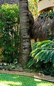 Туры в отель Hotel Villas Sayulita