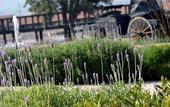 Туры в отель Hacienda Los Picachos