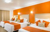 Туры в отель Hotel Flamingo Irapuato