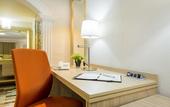 Туры в отель Hotel Flamingo Irapuato
