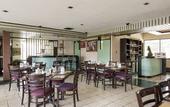 Туры в отель Hotel Flamingo Irapuato