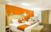 Туры в отель Hotel Flamingo Irapuato