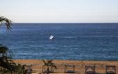 Туры в отель The Towers at Pueblo Bonito Pacifica - All Inclusive