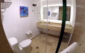 Туры в отель Holiday Inn Resort Mazatlan by IHG