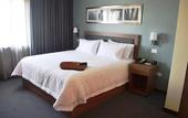 Туры в отель Hampton Inn & Suites by Hilton Salamanca Bajio