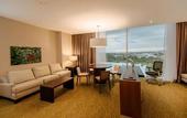 Туры в отель Hilton Garden Inn Puebla Angelopolis, Mexico