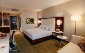 Туры в отель Hilton Garden Inn Puebla Angelopolis, Mexico