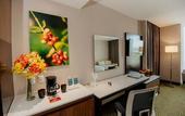 Туры в отель Hilton Garden Inn Puebla Angelopolis, Mexico