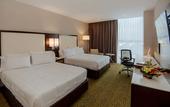 Туры в отель Hilton Garden Inn Puebla Angelopolis, Mexico