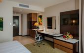 Туры в отель Hilton Garden Inn Puebla Angelopolis, Mexico