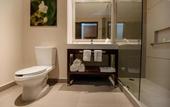 Туры в отель Hilton Garden Inn Puebla Angelopolis, Mexico