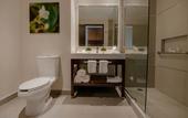 Туры в отель Hilton Garden Inn Puebla Angelopolis, Mexico
