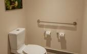 Туры в отель Hilton Garden Inn Puebla Angelopolis, Mexico