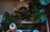 Туры в отель Nima Local House Hotel & Spa