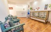 Туры в отель Maggic Home Panoramica