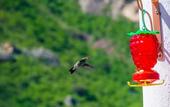 Туры в отель Maggic Home Panoramica