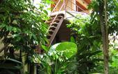 Туры в отель Natural Wing Health Resort & Spa