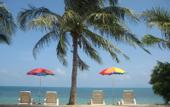 Туры в отель Natural Wing Health Resort & Spa